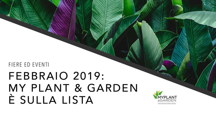 Eterno Ivica torna al MY PLANT 2019! Eterno Ivica torna al MY PLANT 2019!